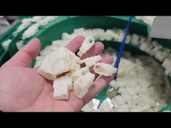 SinT_플라스틱 부품 (볼 피더 포함)